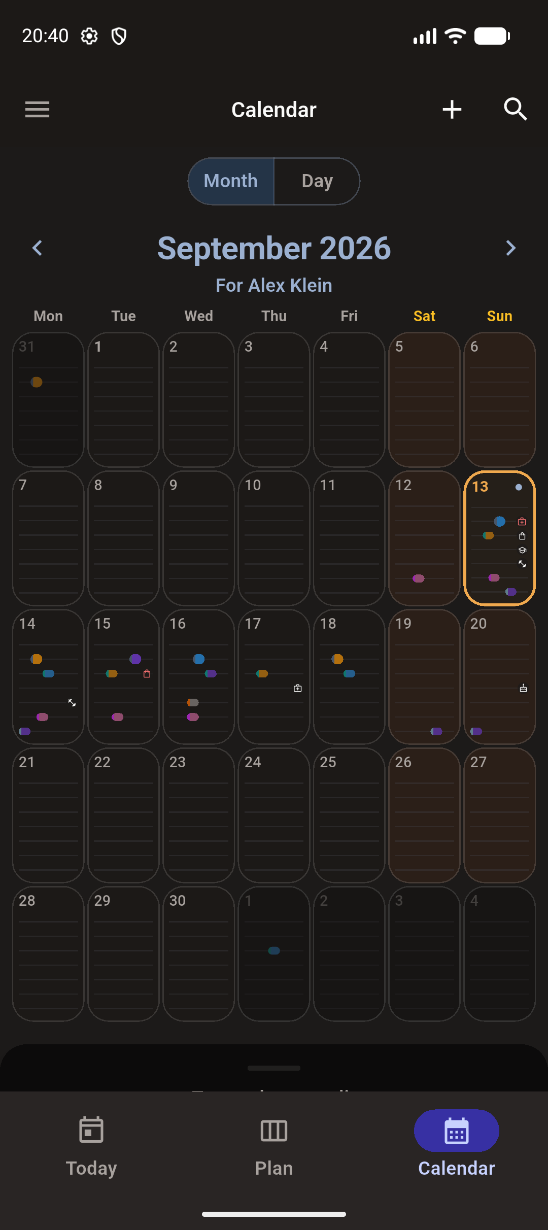 Month calendar with shifts and appointments